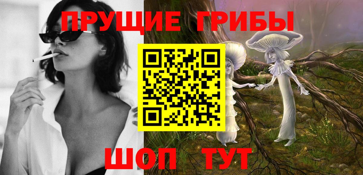 Алейск  Псилоцибиновые грибы Psilocybine cubensis  Вход с VPN 